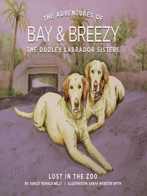 cover image of The Adventures of Bay & Breezy